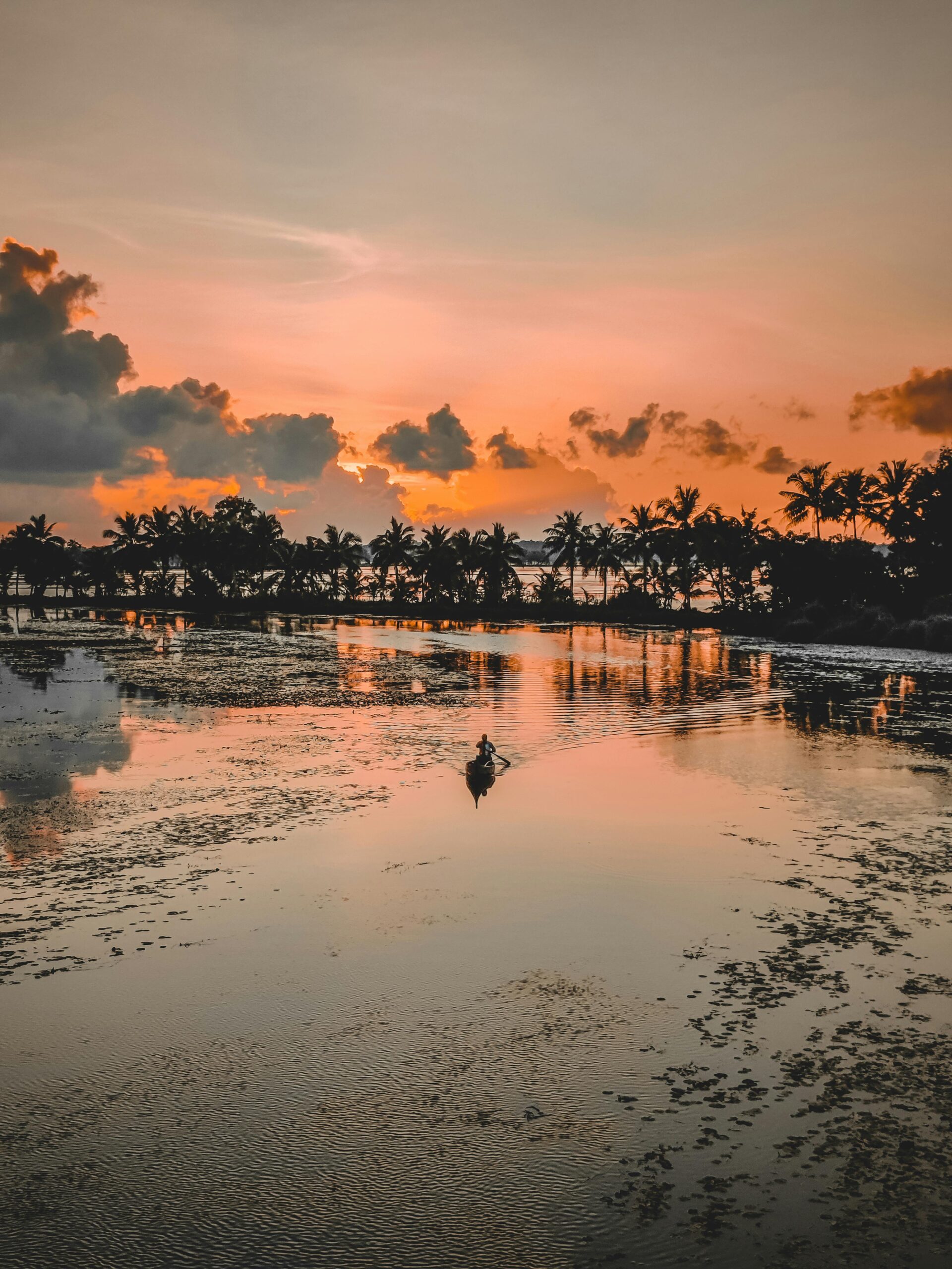 pexels-anoop1992-5656543